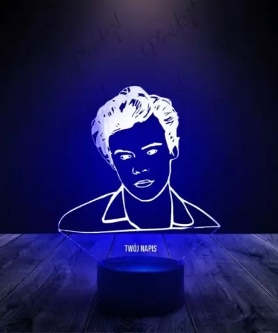 Lampka LED 3D Plexido Harry Styles Portret