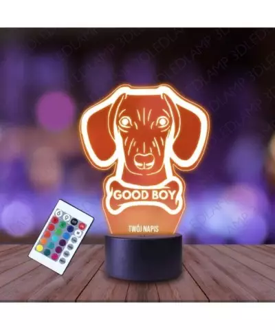 Lampka Nocna 3D LED LAMP Jamnik Kostka