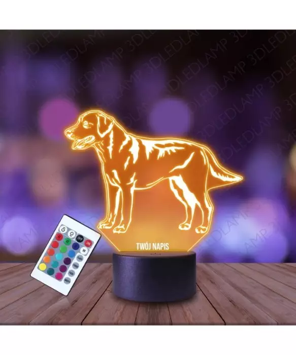 Lampka Nocna 3D LED LAMP Lablador Pies