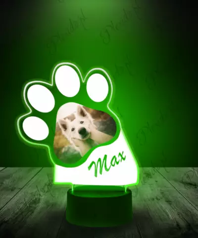 lampka_led_3d_plexido_pies_twoje_zdjęcie