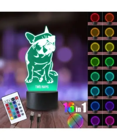 Lampka Nocna 3D LED LAMP Buldog w Okularach