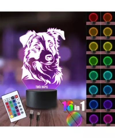 Lampka Nocna 3D LED LAMP Piesek Border Collie