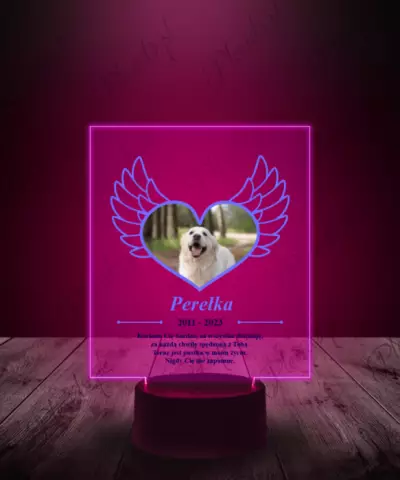 Lampka LED Plexido z Nadrukiem Pamiątka Zdjęcie Psa - 2