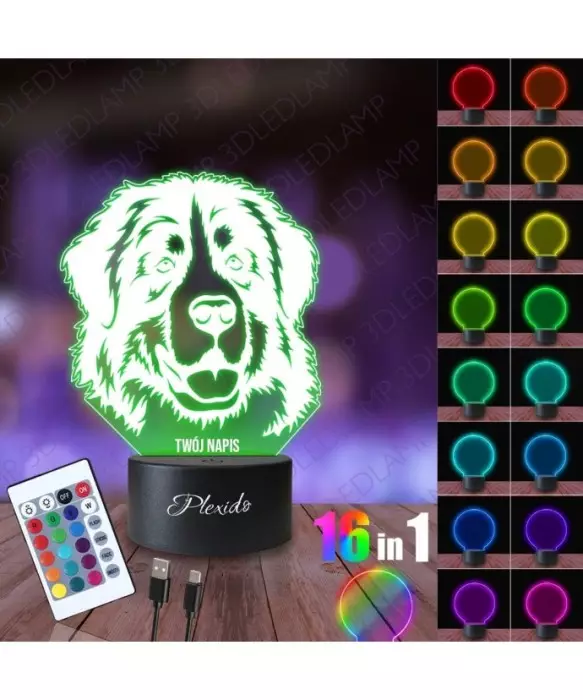 Lampka Nocna 3D LED LAMP Pies Pasterski Berneńczyk 2