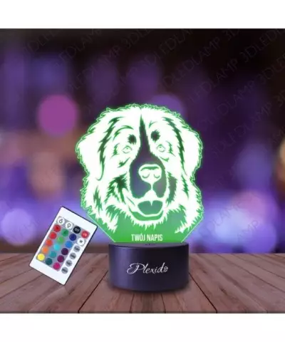 Lampka Nocna 3D LED LAMP Pies Pasterski Berneńczyk