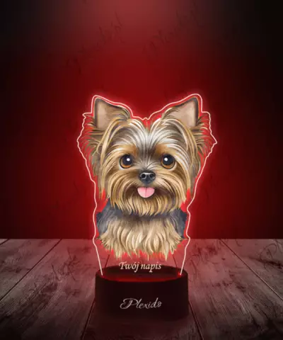 Lampka LED 3D Plexido z Nadrukiem Pies York - 1
