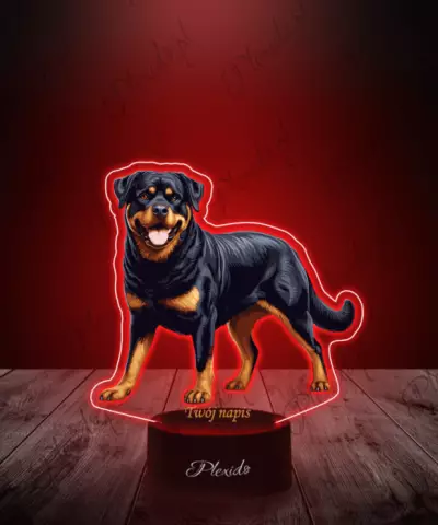 Lampka LED 3D Plexido z Nadrukiem Pies Rottweiler - 3