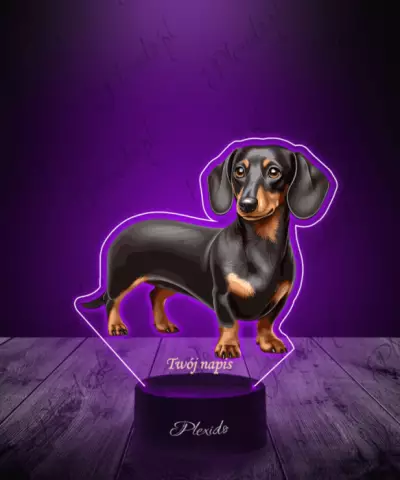 Lampka LED 3D Plexido z Nadrukiem Pies Jamnik - 2