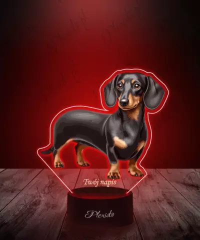 Lampka LED 3D Plexido z Nadrukiem Pies Jamnik - 3