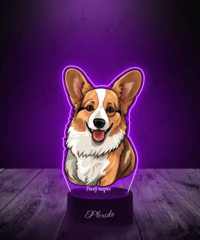 Lampka LED 3D Plexido z Nadrukiem Pies Corgi - 2