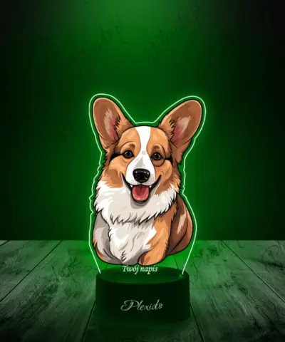 Lampka LED 3D Plexido z Nadrukiem Pies Corgi - 3