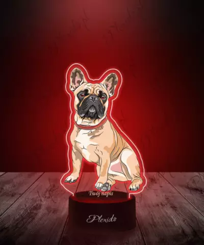 Lampka LED 3D Plexido z Nadrukiem Pies Buldog Francuski - 1