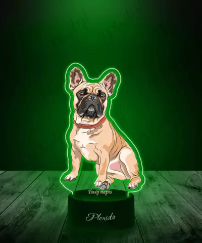 Lampka LED 3D Plexido z Nadrukiem Pies Buldog Francuski - 2