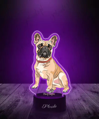 Lampka LED 3D Plexido z Nadrukiem Pies Buldog Francuski - 3