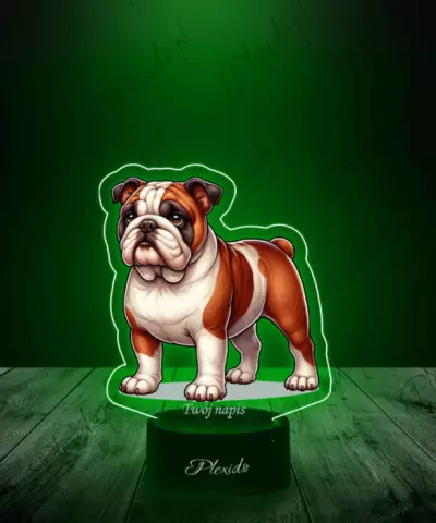 Lampka LED 3D Plexido z Nadrukiem Pies Buldog Angielski - 2