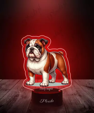 Lampka LED 3D Plexido z Nadrukiem Pies Buldog Angielski - 3