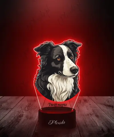 Lampka LED 3D Plexido z Nadrukiem Pies Border Collie - 2