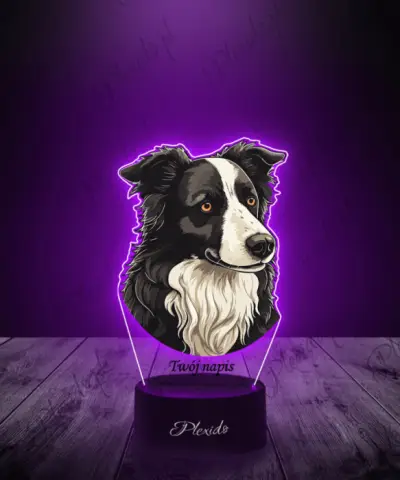 Lampka LED 3D Plexido z Nadrukiem Pies Border Collie - 3