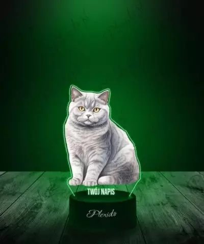 Lampka LED 3D Plexido z Nadrukiem Kot Brytyjski - 2