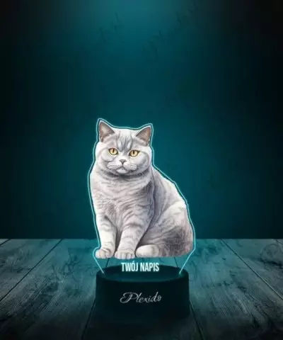 Lampka LED 3D Plexido z Nadrukiem Kot Brytyjski - 3