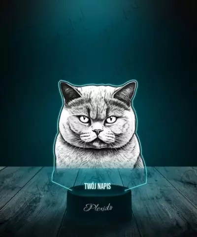 Lampka LED 3D Plexido z Nadrukiem Brytyjski Kot - 2