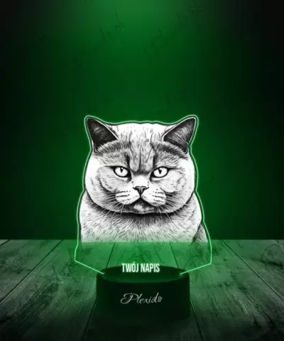Lampka LED 3D Plexido z Nadrukiem Brytyjski Kot - 3